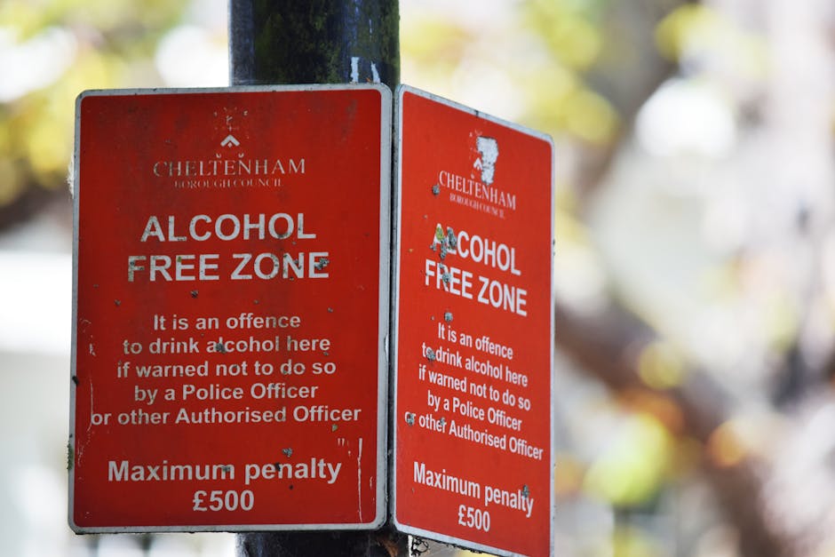 Two red metal signs attached to a black pole, displaying the Cheltenham Borough Council's 'Alcohol Free Zone' message. Each sign features white text stating that drinking alcohol here is an offense pu