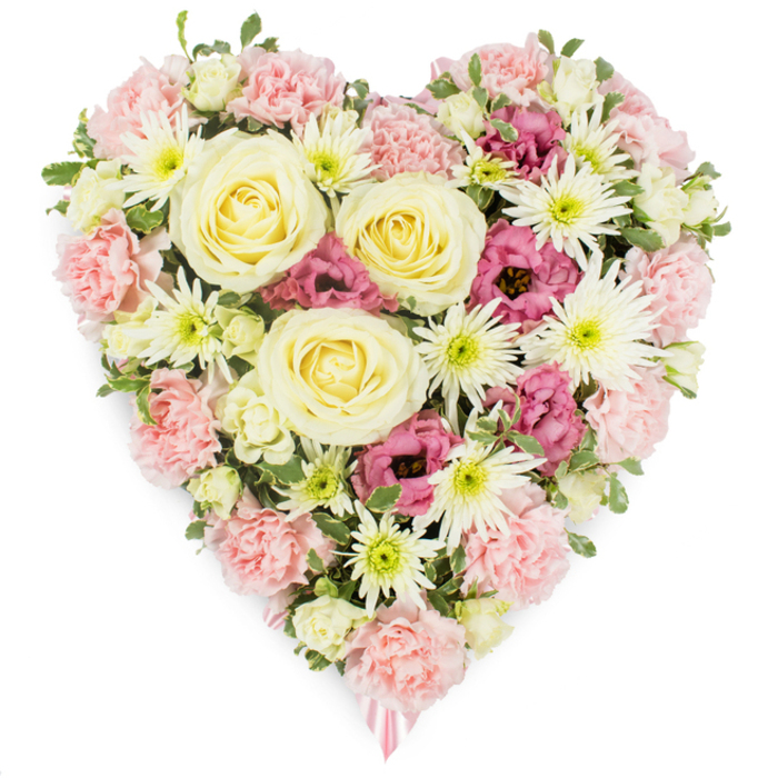 This image shows a dense, heart-shaped funeral wreath set against a spotless white background, the kind of considered tribute a family in Mill Hill might choose to mark a final goodbye. The heart itself is entirely composed of fresh flowers, arranged closely together so that only petals, not stems, are visible. In the centre, several large roses in shades of cream and very pale yellow create a radiant focal point, their tightly spiralled petals giving an impression of calm strength and unwavering affection. Surrounding these are generous layers of blush-pink carnations, their soft, frilly petals overlapping to form a richly textured cushion that defines the outline and fullness of the heart. Interspersed throughout the carnations are snowy white spider chrysanthemums, each bloom formed of many slender, needle-like petals radiating from a greenish centre, providing a crisp contrast and adding fine detail. Pockets of deeper magenta-pink lisianthus nestle between the pastel tones, the slightly ruffled, bell-shaped blooms adding depth, drama, and a more intense emotional register. Occasional glimpses of small, variegated green leaves and buds peek out from the flowers, lending the arrangement a natural, garden-fresh appearance reminiscent of the tranquil greenery around Mill Hill Village and Mill Hill Park. At the pointed tip of the heart, a delicate pink ribbon can just be seen, suggesting that the piece is ready for placement at a funeral, memorial service, or grave. The overall composition feels peaceful and heartfelt, a beautifully constructed floral heart that visually conveys love, remembrance, and respect within the local Mill Hill community.