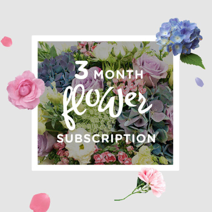 A softly lit bouquet from a three-month flower subscription is captured in this image, styled with the relaxed refinement that suits Mill Hill's tree-lined avenues. Rounded clusters of blue hydrangeas form the generous heart of the arrangement, their tightly packed petals shifting from pale, misty blue to a slightly deeper, cooler shade, lending the design both volume and serenity. Radiating around them, roses in delicate blush pink and muted lilac contribute a touch of romance, their velvety petals unfurling in spirals that invite the eye to linger on each bloom. Interspersed throughout, lisianthus blossoms add a graceful counterpoint: slim stems topped with gently ruffled flowers in white and faint lavender, some fully open and others still curled like tiny scrolls, bringing movement and a whisper-light texture. The greenery gathers and supports all of this, its vivid leaves forming a fresh collar around the flowers, with a few stems arching outward like garden foliage leaning toward sunlight in backyards off Bunns Lane. Natural light brushes across the bouquet, catching on petal edges and creating delicate highlights, while slightly darker shadows beneath the hydrangeas and roses add depth and a sense of three-dimensional presence. The overall feeling is calm, elegant, and nurturing, ideal for a living room coffee table, a home office desk overlooking Mill Hill Park, or a dining space prepared for a quiet supper. This bouquet tells the story of a subscription that doesn't just send flowers, but builds a gentle ritual: each month, a fresh arrangement arrives, composed with seasonal sensitivity and a florist's care, bringing a continuous thread of beauty, fragrance, and soft colour into everyday NW7 life.