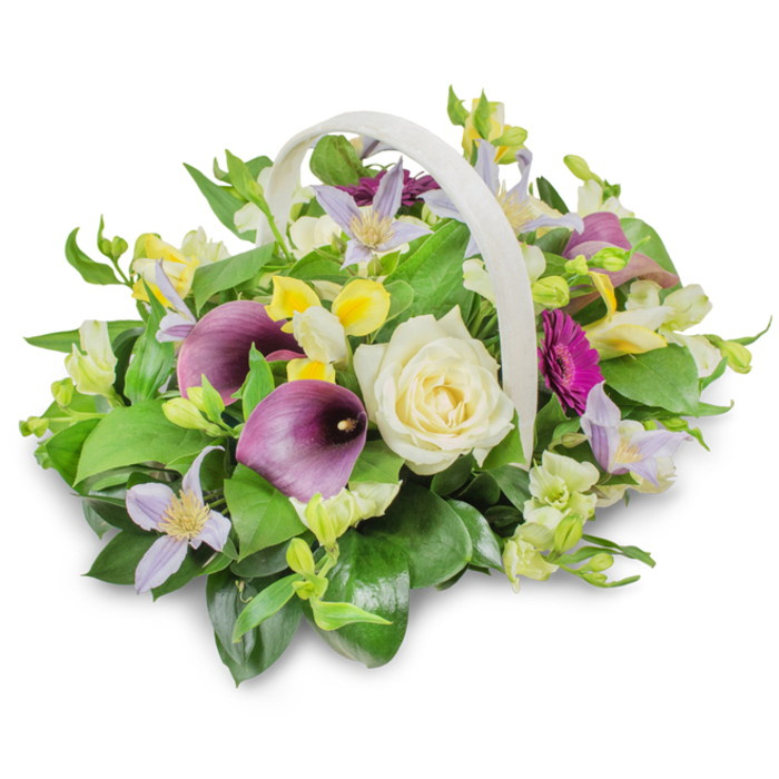 A beautifully balanced funeral flower basket is captured in a bright studio setting, its pale, possibly off-white woven base and sweeping curved handle lending a gentle, comforting silhouette. The basket overflows with flowers and foliage, forming a rounded, almost domed shape that feels generous and embracing, like a floral hug offered in times of loss. At the very centre sits a large creamy white rose, its petals spiralling tightly yet softly, symbolising purity, remembrance, and a peaceful farewell. On either side, deep purple calla lilies arc gracefully upward, their trumpet-like spathes and velvety surfaces adding a refined, contemporary note that suits both traditional church services and modern memorial gatherings in Mill Hill. Tucked between these focal flowers are small clusters of clematis-style blooms in lavender and pale lilac, each star-shaped petal arranged around a subtle yellow heart, bringing delicacy and a sense of gentle movement. Scattered throughout the bouquet are touches of bright yellow and white, from bell-shaped or trumpet-like blossoms reminiscent of freesia or alstroemeria, adding light, texture, and a hint of optimism. On the right-hand edge, a radiant magenta gerbera-type flower emerges, its fuchsia petals radiating in a bold circle, echoing cherished moments and a life well lived. The entire composition rests on a cushion of rich green foliage: broad, glossy leaves alongside finer, feathery sprigs create layers of depth and a natural, garden-like feel, recalling the greenery that lines the quiet streets around Mill Hill East and Mill Hill Park. A soft shadow beneath the basket anchors it against the white background, suggesting gentle daylight from a nearby window. This carefully crafted design, the sort of tribute created by Flowers Mill Hill for local families, is ideal for funeral services, cremations, or as a condolence arrangement delivered to homes across NW7, offering solace and beauty in a time of grief.