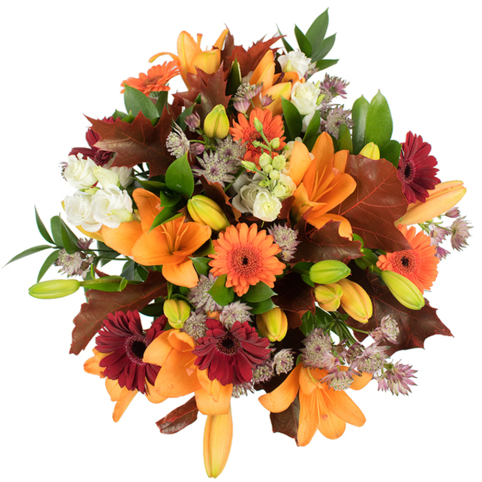 A lush, elevated close-up of an autumnal bouquet, photographed against a pristine white backdrop so every hue reads clear and bright. Anchoring the design are several fully bloomed orange Asiatic lilies whose wide, trumpet-like petals present a warm, satiny surface; intermingled are many compact lily buds in fresh green and pale orange, adding a sense of unfolding life. Bright orange and deep burgundy Gerbera daisies punctuate the arrangement with bold circular forms and dark centres, while creamy white lisianthus-delicate and ruffled-soften the visual rhythm and introduce a gentle, tactile contrast. Wispy clusters of purple-grey Astrantia float through the composition, their intricate star-shaped umbels creating pockets of delicate texture. Prominent reddish-brown, lobed leaves-reminiscent of oak or fallen autumn foliage-are layered across the bouquet, reinforcing a harvest-season mood, and slender green stems and glossy leaves provide supporting structure and vitality. The bouquet's tight, rounded silhouette feels abundant and freshly assembled, the flowers luminous under bright studio light that captures petal veining and leaf sheen. This is the kind of arrangement I would prepare for a warm Mill Hill home or to deliver locally from Flowers Mill Hill for a Thanksgiving table or a seasonal gift; it evokes the scent of late-season gardens and the rustle of leaves on a crisp walk around Mill Hill Park. The composition balances vibrancy and comfort-an autumn statement that reads both festive and tender, crafted with the careful layering of texture and colour that a neighbourhood florist understands best.