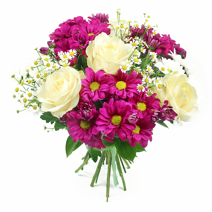 This hand-tied bouquet of mixed seasonal flowers stands out crisply against a spotless white background, as if placed on a display plinth in a Mill Hill boutique florist. Several large, fully opened roses in creamy white with the faintest wash of pale yellow form the central focus; their velvety petals curl and spiral inwards, creating a layered, luxurious heart that suggests grace and tenderness. Embracing these roses is a halo of magenta and fuchsia chrysanthemums, their daisy-like heads abundant with fine petals and striking yellow and yellow-green centres that shine like tiny suns and lend the arrangement a vivid, happy character. Between these bolder notes, airy sprays of miniature white daisy-type blooms, closely resembling chamomile or feverfew, thread softly through the bouquet, each with thin white petals and a small golden centre, bringing brightness, movement, and a faint impression of countryside hedgerows, not unlike the more natural plantings around Mill Hill Park or the surrounding greenbelt. Further inside the bouquet, smaller, not-yet-fully-open chrysanthemum buds in deeper purple-pink tones peek out, adding visual depth and suggesting ongoing life and freshness. The flowers are supported by a generous base of greenery-smooth, pointed rose leaves and broader, textured chrysanthemum foliage-that frames and balances the composition, allowing each colour to stand out clearly. At the base, the stems are gathered tightly and wrapped with a green and white gingham ribbon, its simple check pattern giving the impression of a caring, handcrafted gift chosen with thought. Soft, even lighting enhances every contour and casts gentle shadows, so the bouquet feels both full and light, ideal for brightening a home near Mill Hill Broadway, marking a birthday, or sending warm wishes to someone special in the local area.