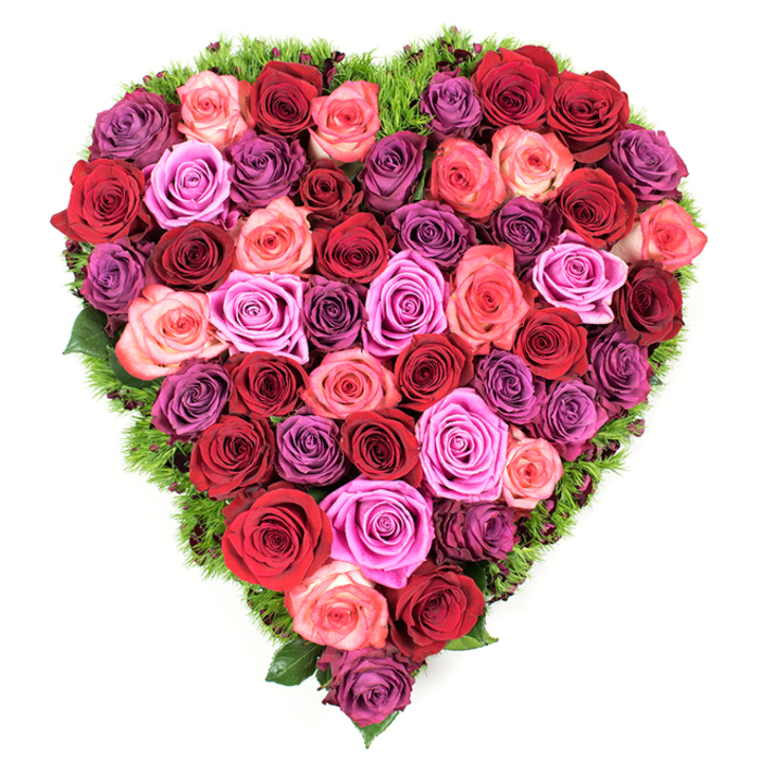 Viewed from above on a neutral white surface, this meticulously constructed heart is filled edge-to-edge with blooming roses in a rich, layered spectrum. The dominant notes are deep crimson and classic red, balanced by softer blush and coral pinks, dramatic fuchsia and magenta highlights, and cool lavenders that shift into mauve and plum - all arranged to create a tactile tapestry of colour and depth. Each rose is fully open or gently unfurling, petals velvety and dense, their centres softly furled so the blossom feels both opulent and fresh. There are no visual gaps; the blooms nestle tightly to form a continuous, textured plane of petals that reads as both luxurious and tender. Around the heart's edge, a fine, dark-green foliage border - reminiscent of maidenhair fern or compact moss - defines the silhouette and offers a crisp, natural contrast to the warmth of the roses. The composition is luminous in soft, even light, suggesting a calming presence that communicates love, remembrance, or solemn celebration. This heart-shaped tribute is equally at home as a romantic centrepiece for Valentine's or anniversary moments, a graceful Mother's Day gift, or a dignified floral tribute for funerals and memorials. Locals from Mill Hill Broadway to the quieter lanes by Bittacy Hill have selected similar designs when they want floristry that reads as sincere, expertly made, and deeply comforting.