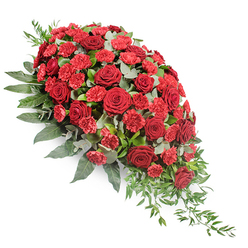 Set against a crisp white background, this substantial funeral spray stretches diagonally like a long, gentle teardrop, generous and full at the upper left and tapering to a soft, trailing point at the lower right. The composition is dominated by luxurious deep red roses, each one fully open so that its velvety petals form classic spirals, giving the tribute a sense of timeless beauty and sincerity. Woven between the roses are clusters of red spray carnations, their smaller, ruffled blooms in slightly brighter crimson bringing a lively texture and filling the arrangement with layers of soft, frilled detail. The flowers sit on a bed of rich greenery, where broad, dark green leaves overlap to create a strong, cohesive base that frames and supports the blooms. Among this darker foliage, rounded eucalyptus leaves in silvery green emerge, their muted colour and softly powdered surface adding a gentle, cooling note that balances the intensity of the reds. From the narrowing tip of the spray at the lower right, slender strands of light green trailing foliage extend outward in relaxed curves, giving the arrangement an organic, cascading movement, as though the flowers are quietly flowing downwards in farewell. The lighting is soft and diffuse, allowing the colours to appear true and saturated without harsh glare. This style of casket spray is often selected from local florists around Mill Hill when families need a fitting floral tribute for a funeral or memorial service, a design that feels both traditional and deeply personal, offering a visual expression of sympathy, honour, and cherished memories.