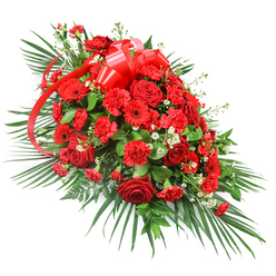 This photograph shows a richly detailed red casket spray, arranged in a sweeping, elongated shape that feels both stately and tender. Against the clean white background, the colours appear vivid and true, with every petal and leaf clearly defined. At the heart of the composition, deep red roses cluster in abundance, their velvety petals folded in soft spirals that speak of devotion and cherished memories. Some blooms are fully open, revealing generous, layered centres, while others remain more tightly closed, adding a sense of quiet anticipation and restraint. Interwoven among these are masses of red carnations, their frilled petals creating rounded, cushion-like forms that lend softness and texture to the design. Scattered thoughtfully through the arrangement, red gerbera daisies open their broad faces to the viewer, their darker centres providing a subtle focal point and a slightly modern contrast to the traditional roses and carnations. Fine sprigs of small white filler flowers, perhaps baby's breath or tiny chrysanthemums, appear like gentle sparks between the red tones, introducing breath and lightness without diminishing the depth of colour. A glossy red satin ribbon is tied into an opulent bow near the upper centre, its smooth loops and extended tails nestling among the blooms and guiding the eye down the length of the spray. Framing the entire piece, long palm leaves arc outwards and upwards, giving a sense of structure and reach, while darker, denser green foliage-likely salal or ruscus-with a few delicate fern-like fronds, supports and anchors the flowers. The arrangement carries an atmosphere of composed emotion, ideal as a sympathy tribute delivered across Mill Hill to churches, chapels, or family homes, where it can honour a loved one with depth, warmth, and understated elegance.