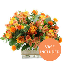 A vibrant bouquet in rich oranges and sunny yellows is presented front and centre on a pristine white backdrop, evoking the welcoming warmth of an early evening in Mill Hill. Dominating the arrangement are several large orange roses, their velvety petals layered in generous curls, with some blooms blending softly to yellow at the heart, like small sunsets gathered together. Tucked among these are bright yellow garden roses, their compact, multi-petalled heads creating rounded cushions of colour that lend a sense of solidity and comfort. Woven through the roses, stems of peach and light orange alstroemeria introduce a lighter, more delicate note; each Peruvian lily flower has slender, slightly flared petals adorned with subtle freckles and stripes, lending pattern and movement to the design. Scattered throughout, clusters of small, spiky orange spheres-similar to safflower or thistle heads-stand upright, bringing a tactile, textural edge and a hint of wild meadow character. The flowers are surrounded by an abundance of greenery: broad eucalyptus leaves with a soft, silvery cast sit beside darker, glossy foliage, creating a layered frame that pushes the vivid blooms forward. All the stems are neatly arranged inside a transparent square glass vase, allowing the viewer to see the clean lines of the stems and the clarity of the water, suggesting freshly conditioned flowers ready for same-day delivery across Mill Hill and nearby streets off the Broadway. Around the middle of the vase, a wide band of natural beige burlap is wrapped smoothly, its rustic texture balancing the polished glass and echoing the leafy, garden-inspired mood. In the bottom right corner, a bold orange circle displays VASE INCLUDED in crisp white capitals, signalling that this joyful, autumn-leaning arrangement comes as a complete, easy-to-display floral gift for birthdays, anniversaries, or simply brightening a favourite room.