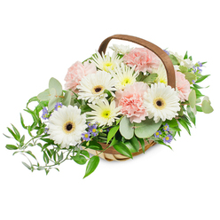 A carefully composed, inviting basket of flowers that opens outward like a gentle embrace, captured against a clean white background. The arrangement is anchored by a handful of immaculate white Gerbera daisies - broad, luminous petals surrounding deep brown to near-black centres - which set a tone of simplicity and cheer. Interwoven between these bold blooms are clusters of blush pink carnations; their layered, feathery petals create a tactile softness that contrasts beautifully with the crisp Gerbera forms. Small white and pale yellow daisy-type flowers, likely spray chrysanthemums or asters, fill the composition with delicate texture and a lively, informal fullness. Speckled through the greens are tiny violet-blue accent flowers that add a restrained coolness and visual depth. The foliage is thoughtfully varied: silvery eucalyptus discs bring a modern, aromatic coolness while darker glossy ruscus strands spill out to the left, lending graceful movement and an organic silhouette. The bouquet sits in a light wooden woven basket whose handcrafted weave and warm handle lend homely charm and balance the airy blossoms. The studio lighting is clear and even, revealing the fresh surfaces of petals and leaves and the subtle scent that eucalyptus and carnations would suggest. As a Mill Hill florist might frame it, this bouquet reads as both tender and versatile - friendly enough for a celebratory doorstep on The Ridgeway yet reserved enough for a bedside in Mill Hill Village - a composed expression of thoughtfulness and simple beauty.