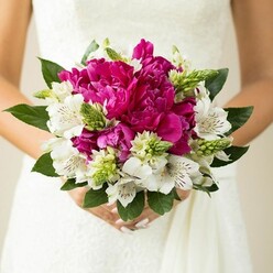 This image shows an intimate close-up of a bridal bouquet held securely yet softly against a white wedding gown, the fabric's lace or textured pattern only just visible behind the densely packed flowers. At the centre of the bouquet are sumptuous fuchsia and deep magenta peonies, their petals tightly layered and delicately ruffled, giving a sense of depth and softness that suggests the touch of velvet or silk. Surrounding these generous blossoms are clusters of white alstroemeria, each flaring petal marked with fine maroon speckles and faint striping, adding a painterly detail that feels both delicate and exotic. Interlaced among the main blooms stand upright green buds and spiky, textural florets, likely Ornithogalum or similar filler flowers, which bring a lively, sculptural contrast to the rounded peonies and elongated lilies. The bouquet is finished with a frame of rich dark green leaves, their surfaces smooth and glossy, cupping the flowers and giving the arrangement a polished, hand-crafted look. Only the bride's hands are visible, fingers wrapped lightly around the stems, her nails coated in soft pink polish that echoes the romantic palette. Gentle lighting, reminiscent of natural daylight streaming into a Mill Hill reception venue, enhances the colour saturation so that the magentas appear vivid but not harsh, and the whites carry a warm, flattering glow. The overall impression is of a bouquet that blends tradition with a modern, vibrant twist, the kind of design a seasoned florist near Mill Hill Broadway or around Arrandene Open Space might recommend to brides seeking fresh, expressive florals for a spring or early summer ceremony, full of energy yet still timeless.