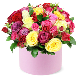 Radiant and richly layered, this hat-box arrangement unites a chorus of roses in bold, sunlit tones-crimson red, bright yellow, fuchsia, pale pink, magenta-spiked with lavender and creamy white. The blooms are packed tightly, their velvety petals overlapping to build a generous dome above a smooth pastel pink container. Between stems, dark green, glossy leaves weave through, giving the bouquet a garden-fresh frame that feels both lush and refined. The palette not only sings together but allows each hue to express a mood-crimson for passion, yellow for sunshine, lavender for calm, white for purity-while the lavender accents tie the whole piece to a harmonious sensory experience.

The design balances careful structure with soft, welcoming energy. The largest heads stand proudly open, their centers glowing, while spray roses thread through, adding movement and texture. The fragrance is a light, intimate rose perfume that warms the room, and the container's matte finish provides a contemporary edge that suits modern interiors as well as festive occasions. The petals catch light with a satin sheen, and the deep green foliage frames each bloom like a living bouquet within a gallery.

For Mill Hill families and friends, this bouquet signals celebrations from birthdays to anniversaries, or a surprise that says you care. It can be delivered across Mill Hill and the surrounding NW London districts, with dependable same-day service when available and careful handling to preserve the dome's perfection. Crafted by a skilled local florist, this piece embodies warmth, artistry, and the joy of giving, a thoughtful gesture that brightens kitchens, lounges, and doorsteps along Mill Hill Broadway and beyond.