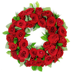 An elegant wreath of deep red roses, meticulously formed into a near-perfect circle, sits against a clean white backdrop. Dozens of blooms range from tight buds to open blossoms, their velvety petals layered in rich crimson and catching glints of morning light. Nestled among them are clusters of bright green foliage-broad eucalyptus-like leaves with a soft, matte finish and slender ruscus that adds sharp shine and depth. The result is a lush, three-dimensional tapestry that conveys both warmth and reverence. This timeless arrangement speaks to love, respect, and remembrance, making it an ideal tribute for funerals, memorial services, or anniversaries within Mill Hill, Hendon, and the surrounding streets near Mill Hill Broadway. The wreath's continuous ring carries a message of eternal connection, while the white background keeps the focus purely on the flowers' texture and colour. Crafted by skilled hands in our local workshop, it is available for same-day delivery across Mill Hill and nearby postcodes, making it easy to express condolences with reliable, thoughtful service.