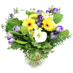 From a local Mill Hill studio, this design exudes a quiet, joyful energy. The bold yellow gerberas offer instant optimism, their dark centers like tiny suns. Creamy white Calla lilies thread through the arrangement with their smooth, funnel-shaped petals, adding a touch of classical elegance. Between them, lavender to purple Lisianthus arrive in ruffled, delicate plumes, sometimes open wide, sometimes poised as buds, giving the bouquet a sense of gentle movement. The greens play a vital role: eucalyptus with a silvery sheen provides a fresh, aromatic note, while broad green leaves give the bouquet its generous, garden-like silhouette. The tall, clear glass vase heightens the impression of natural abundance, the stems visible beneath clean water, and a subtle black tie around the stems inside the vase offering balance and structure. The overall mood is bright, uplifting, and versatile, perfectly suited to mark birthdays, a new home, or a heartfelt thank-you. As a Flowers Mill Hill creation, it embodies local care and craftsmanship, designed to travel quickly to homes and offices across Mill Hill for reliable same-day delivery and a touch of countryside-fresh charm in the heart of the suburb.