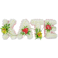 This image shows a lovingly crafted floral tribute spelling out the name KATE in tall, block-style capitals, positioned against a clean white backdrop that allows the colours and textures to stand out clearly. Each letter rests on a densely packed bed of white chrysanthemums, the small, rounded blooms pressed closely together to create a plush, velvety surface with a gentle, comforting presence. Around the perimeter of the K, A, T, and E, a soft pink satin ribbon has been carefully pleated to frame each shape, adding a delicate touch of colour and femininity that softens the overall look without distracting from the clarity of the name. Within the white blooms, the florist has nestled vivid accent flowers that add both contrast and symbolism. On the K and at the lower part of the T, lime-toned cymbidium orchids with intricate reddish-brown markings in their centres provide a fresh, uplifting note, reminiscent of springtime greenery around Mill Hill's open spaces. On the A and the E, rich red anthuriums with smooth, waxy, heart-shaped petals offer a strong emotional point of focus, suggesting deep affection and an enduring bond. These blooms are cradled by glossy dark-green leaves and airy fern fronds, which lend structure and a sense of natural flow. Fine green tendrils loop and trail gently from letter to letter, tying the whole name together so it reads as one graceful composition. The design feels both formal and tender, a bespoke memorial piece suitable for a funeral service, chapel display, or graveside tribute in the Mill Hill area, created to honour KATE's memory with elegance and care.