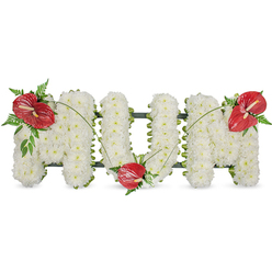 This composition reads as a tender, heartfelt memorial crafted to spell the letters MUM in sculptural, three-dimensional form, captured against a clean white backdrop so every floral detail is legible. Hundreds of small, pure white spray chrysanthemums are chosen for their fullness and clustered densely to create each letter's voluminous, cloud-like surface; the overall texture is soft yet substantial, reminiscent of a gentle cushion of blooms. Three vivid red anthuriums, their glossy heart-shaped spathes and pale yellow spadices unmistakable, are placed with deliberate care-one on the upper left curve of the first 'M', another nestled at the base of the 'U', and the third adorning the upper right sweep of the last 'M'-each surrounded by sprays of dark green foliage and delicate fern fronds that add depth and a woodland freshness. Subtle dark-green structural framing peeks along the letter edges, giving form and stability while remaining largely hidden beneath the blooms. Thin, arching stems or blades of grass connect the red highlights and move the eye across the tribute, unifying the piece. Bathed in a soft, natural light that accentuates white purity and the anthuriums' sheen, this arrangement conveys quiet reverence and lasting love-an offering often chosen for funerals or graveside services. As local florists in Mill Hill know, arrangements like this are intended to comfort families from Mill Hill Village to Mill Hill Broadway; Flowers Mill Hill prepares them with attention to texture, balance and respectful presence.