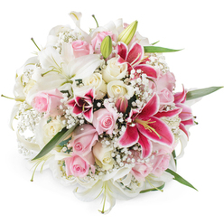 Against a pure, seamless white backdrop, this hand-crafted bouquet appears like a carefully composed painting, reflecting the refined style of an experienced Mill Hill florist. The arrangement is rounded and full, so that only an abundant canopy of blossoms fills the frame. At its core are graceful white lilies, some fully open with their broad, trumpet-shaped petals gently curling at the tips, others still held in smooth, green buds that suggest new blooms yet to emerge. Interwoven with them are generous clusters of roses in soft, blush pink and creamy ivory tones. The roses vary in openness-some remain shyly cupped and compact, while others have unfurled into lush, velvety blooms with intricate spirals and softly ruffled edges that invite a lingering gaze. Intensifying the palette are glamorous fuchsia Oriental lilies, likely reminiscent of Stargazer varieties, whose saturated magenta petals show darker speckles radiating from their centres and support prominent golden stamens. Between these statement flowers, fine sprays of white baby's breath form an airy network, giving the bouquet a delicate, cloud-like halo while gently easing transitions between the larger forms. Occasional flashes of rich green foliage and stem are visible beneath the blooms, grounding the design in natural freshness and echoing the calm greenery around Mill Hill's gardens and churchyards. The lighting is clean and even, highlighting subtle gradients in each blossom without harsh contrasts, making every texture-from glossy lily petals to the more matte surface of the roses-crystal clear. This bouquet conveys tenderness and celebration, ideal for marking weddings, milestone birthdays, or heartfelt thank-you gifts delivered across Mill Hill, from The Ridgeway to the streets surrounding Mill Hill Broadway station.