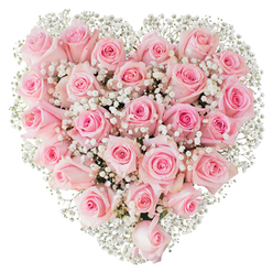 Close enough to touch, this heart-shaped cluster of blush roses conjures the sensation of cool, satiny petals under a palm, each bloom carefully placed to form a seamless, symmetrical heart that reads as an emblem of devotion. Dozens of soft pink roses - their shades moving from pale blush around the edges to warmer rose hues toward the center - occupy the majority of the composition, with some buds still tightly furled and others unfurling in broad, layered cups. Sprigs of delicate white Gypsophila are threaded throughout like fine lace, their tiny, cloud-like blossoms catching the bright studio light and introducing a crystalline contrast that sharpens the heart's outline against the pure white background. The controlled lighting highlights the velvet texture and faint dew on the petals, suggesting freshness and a subtle, classic rose fragrance mingled with green, herbal notes. Arranged with meticulous symmetry, the piece demonstrates the kind of attention to proportion and bloom selection typical of a Mill Hill florist who knows the neighbourhood's quieter celebrations - whether a thoughtful anniversary on Mill Hill Broadway or a small registry office wedding near Bittacy Hill. Flowers Mill Hill prepares work like this for intimate exchanges of sentiment, and the composition reads as both contemporary and timeless: soft, restrained, and profoundly romantic. It's well suited to Valentine's gestures, engagements, or memorials of fond remembrance, conveying tenderness and refined affection without extravagance, and designed to sit elegantly on a mantel or ceremony table in local homes and venues.