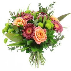 Captured against a pure white backdrop, this hand-tied bouquet seems to glow with colour and life, like a fresh delivery arriving at a Mill Hill doorstep on a clear afternoon. Dominating the centre are sumptuous roses in tones of peach, coral, and soft salmon pink, their petals gently spiralling open to reveal layered hearts with delicate shifts in shade, from pale outer rims to a warmer orange-peach depth. Threaded among them, bold gerbera daisies in deep magenta and velvety burgundy stretch out their many slender petals around lighter, textured centres, adding a confident, contemporary rhythm to the design. Slightly off-centre, a magnificent King Protea stands as the bouquet's sculptural anchor, its bracts tinted with maroon and reddish-brown, edged in soft blush pink, bringing a touch of wild South African drama to this otherwise classic mix. Bright lime-green button chrysanthemums, perfectly rounded and densely petalled, peek between the larger flowers, their vivid hue providing a crisp, uplifting contrast that feels almost effervescent. The entire arrangement is cradled by an abundance of foliage: broad, dark green leaves form a strong backdrop, lean variegated blades introduce vertical movement, and airy sprigs of eucalyptus with rounded, silvery-green leaves create depth and a sense of natural ease, reminiscent of the leafy streets around Mill Hill Park. The stems, visible and neatly bound, emphasise the hand-crafted nature of this piece, as if just finished by an experienced local florist. This bouquet speaks of warmth, joy, and thoughtful care, ideal for celebrating birthdays, anniversaries, or sending congratulations to friends and family across Mill Hill and the surrounding area.