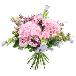 Captured on a clean white background, this abundant bouquet feels like a celebration of soft colour and texture, the kind you might see being carried along Mill Hill Broadway on a special afternoon. Two prominent domes of pink hydrangea form the main focal points, their dense clusters of tiny, ruffled petals creating a pillowy, almost cloud-like appearance that exudes fullness and luxury. Intertwined with these hydrangeas are light pink roses, elegantly arranged so that some open fully to display their spiralled, velvety centres, while others remain in bud, adding a sense of unfolding romance and time. Rising gently above and between the larger blooms are slim stems of bell-shaped flowers in pastel lavender and gentle purple, probably campanula, their nodding bells lending height and an ethereal quality that makes the bouquet feel garden-fresh, as if gathered from a quiet corner near Mill Hill Park. Scattered among the arrangement, clusters of fuchsia and dark pink filler flowers, similar to waxflower or tiny phlox, offer pockets of richer colour and intricate detail, drawing the eye deeper into the design. Lush green leaves cradle the flowers, with a few tender buds peeking through to emphasise freshness and new beginnings. The natural stems are left visible at the base, carefully gathered and hand-tied, suggesting a bouquet ready for placing in a simple glass vase on a windowsill overlooking the leafy lanes of NW7. The mood is warm and heartfelt, perfect for gifting on birthdays, anniversaries, engagements, or as a thoughtful surprise delivered locally across Mill Hill and surrounding neighbourhoods.