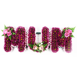 The photograph shows a striking funeral flower tribute spelling out the word "MUM" in robust, three-dimensional letters, carefully aligned against a stark white backdrop. The faces of each letter are densely planted with rich mauve and purple chrysanthemums, their many fine petals overlapping like soft feathers to create a deep, textured surface. Scattered through this sea of purple are the blooms' lime-green centres, which catch the eye and bring a sense of freshness and energy to the tribute. Tracing the outline of each letter, a light pink ruffled ribbon is expertly pleated, adding a gentle pastel frame that softens the strong colour of the flowers and gives a hand-finished feel. At the upper left of the first "M", a small yet expressive cluster of soft pink roses opens above a bed of lush fern fronds and mixed foliage, as if a tiny bouquet has been set delicately on the letter. The central "U" carries its own focal point at the base: an arrangement of pale pink and cream roses mingled with variegated greenery and sprigs of delicate white blossoms, forming a calm, grounding accent. On the upper right of the final "M", a matching spray of deep pink roses and vibrant green fernery balances the composition. Created in the style of bespoke North London funeral work, this "MUM" tribute could easily be imagined resting near a Mill Hill chapel or synagogue, offering a quiet message of enduring love, gratitude, and remembrance for a cherished mother or grandmother.