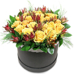 The photograph shows a stylish hatbox arrangement featuring golden yellow roses and deep burgundy leucadendron, crafted with the polished ease of an experienced Mill Hill florist. The round hatbox is a deep charcoal or black shade with a matte, velvety appearance that contrasts quietly with the brightness of the blooms. Just below the flowers, the rim of the box is finished with a gentle band of white lace, its fine, repeating pattern adding a romantic flourish that echoes the charm of older houses tucked away off Daws Lane. Rising above this base is a generous, dome-shaped mass of roses, crowded closely together to form a lush, continuous canopy. The roses are a vibrant, sunny yellow, with soft, velvety petals arranged in tight spirals that gradually relax at the edges. Some flowers are wide open, while others are still unfolding, giving the impression of life and ongoing bloom. Interspersed among the yellow roses are elegant stems of Leucadendron 'Safari Sunset', standing slightly taller and adding visual rhythm. Their slender, pointed bracts are rich burgundy and maroon, with hints of russet and green, a moody counterpoint to the cheerful roses. Around the lower portion of the arrangement, dark, glossy green foliage cradles the flowers, the leaves overlapping to provide structure and depth. Delicate, feathery sprigs of pale green foliage peek between petals and leaves, softening the outline and suggesting the natural textures you might notice walking through Mill Hill Park. The composition feels both joyful and composed, ideal for a birthday surprise delivered to a home near Mill Hill Broadway, a congratulations bouquet placed in an office off Bittacy Hill, or a welcoming piece for a hallway table along The Ridgeway, where it can greet visitors with warmth and colour.