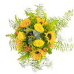 Glowing with the promise of sunshine and new beginnings, this stunning bouquet-crafted by one of Mill Hill's expert florists-captures the dynamic energy and soft charm of the area itself. A constellation of radiant sunflowers, each with a deep brown heart, forms the centerpiece, their golden petals reaching outward like cheerful greetings to all who pass. Around them fold elegant yellow roses, tightly layered and arrayed with care, imparting a suede-soft texture to the composition. Bursts of orange-red berries or petite blooms thread through the cluster, sparking pops of warm colour reminiscent of the lively markets and hidden gardens dotted around Mill Hill East. The bouquet's foundation is built from cool eucalyptus and an array of vivid green leaves, whose subtle blue shimmer balances and enriches the sun-warmed tones. Enveloping the entire creation, light and airy Asparagus fern fronds give a graceful, almost featherlike finish, bringing a sense of movement and easy elegance. The harmonious blend of shapes, scents, and colours evokes feelings of happiness and gratitude-perfect for a celebratory gathering in a leafy home off Marsh Lane, or to lift spirits with a fragrant surprise. Breathing in the arrangement reveals a delicate mix of sweet petals, gentle greenery, and earthy freshness, capturing the generous heart of Mill Hill in every stem. This bouquet transforms everyday moments into heartfelt memories, radiating optimism wherever it's delivered.
