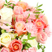 Intimate close-up of a lush, hand-tied bouquet in soft whites, pinks, and peaches, set before a bright white background so every bloom seems to glow, as if freshly finished in a Mill Hill florist's studio. At the heart of the design are large, open roses whose petals swirl outward in perfect spirals-some a creamy ivory or almost buttery yellow, others a tender blush, warm peach, or gentle coral-pink. Their surfaces look velvety and rich, catching the light along the edges and creating depth toward the centres. Between these statement roses nestle clusters of small, frilly carnations in a light pink shade, their finely ruffled petals adding a sense of softness, fullness, and romantic movement. Fine, deep green leaves with pointed tips thread through the bouquet, breaking up the pastel tones and adding a feeling of freshness, as though cut from a garden bordering Mill Hill Park or a quiet street near Bittacy Hill. A scattering of closed or half-open buds adds a suggestion of new beginnings, reinforcing the bouquet's calm, hopeful character. The lighting is even and gentle, preserving the delicate quality of the colours without any harsh contrasts. Overall, the image conveys a bouquet that feels tender yet elegant-suitable for marking an anniversary, welcoming a new arrival, sending get-well wishes, or simply bringing a serene touch of beauty to a home in Mill Hill or Mill Hill East. It carries the quiet message of care, comfort, and affection in every petal.