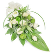 A long, elegant sympathy spray photographed against a clean white backdrop, composed in the classic teardrop or cascading style with a calming palette of creamy whites and fresh greens. At the heart of the design lie several creamy white roses in varying stages of bloom - some opening into soft, spiralled cups, others held as gentle buds - their petal edges catching a soft, diffuse light. Two sculptural white Calla lilies lift like small white trumpets, their satiny surfaces reflecting a cool sheen and lending quiet modernity to the composition. Bright lime-green, button-like chrysanthemums are dotted through the spray; their compact, textured spheres introduce a lively, tactile contrast to the smoother roses and lilies. Wisps of tiny white Gypsophila (baby's breath) float between the main blooms, creating an airy, cloud-like softness that calms the eye. The foliage work is generous and varied: deep, glossy green leaves form a dense, supportive base while paler, variegated leaves with slender white striations add depth and subtle pattern. Feathery fern fronds and long, arching blades of bright green foliage create graceful movement across the top and sides, culminating in a broad, smooth tropical leaf that forms the pointed tail of the spray and reinforces its tapered silhouette. A small cream satin bow is placed at the upper left, a restrained, comforting accent. The overall scent is green and faintly floral - a poised, consoling tribute suitable for memorial services or a thoughtful condolence gift for families in Mill Hill and surrounding Barnet neighbourhoods.