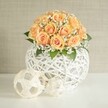 A refined, contemporary floral centerpiece showcases a rounded dome of soft peach and apricot roses, each bloom tightly cupped with deeper orange hearts and paler, almost creamy outer petals that catch the light like a quiet sunrise over Mill Hill Park. Nestled between the roses are countless tiny white baby's breath flowers, forming a delicate halo that softens the whole arrangement and adds a feeling of gentle celebration, ideal for an intimate dinner party off Mill Hill Broadway or a relaxed wedding breakfast at a local venue. Dark green foliage peeks out from beneath the blossoms, framing the bouquet and giving it depth and natural structure. The flowers sit in a striking spherical vase crafted from interwoven white strands, rather like fine rattan or string art, creating an airy lattice that feels both modern and handmade, the open pattern casting subtle shadows on the bright white tabletop below. In front of the main arrangement rest two decorative orbs formed from the same white material: one larger ball with clear geometric facets reminiscent of a minimalist football, and a smaller, more irregular sphere that adds a playful note to the display. The background is a calm, light grey-beige wall with the faintest hint of texture, allowing the warm tones of the roses and the crisp white of the container to remain the star of the scene. Soft, even daylight washes over the flowers, enhancing their freshness and suggesting the careful touch of a local Mill Hill florist preparing a centerpiece for same-day delivery to a home or boutique event in NW7.
