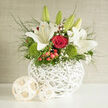 In the photograph, a romantic wedding-style bouquet sits in a simple yet stylish white basket, reminiscent of something chosen from an independent florist just off Mill Hill Broadway. The basket itself is woven with a neat, open pattern, its matte white finish forming a calm backdrop for the more vivid hues above. At the heart of the composition are deep red roses, packed closely to create an impression of fullness and intensity. Their velvety petals unfurl from tightly rolled centres into generous, layered blooms, each one a small focal point of rich colour. Surrounding and rising among them, white lilies provide height and a sense of lightness. Some lilies are captured in full bloom, their broad, silky petals curling gently back to reveal soft green throats and slender stamens; others remain in tapered buds, suggesting flowers still to come and adding to the feeling of promise. Nestling at the base and between the larger flowers, tufts of bright green dianthus appear like tiny moss cushions, their crisp, grassy texture freshening the palette and adding contemporary flair. Threaded through the design, airy sprays of gypsophila contribute fine, lace-like clouds of tiny white blossoms, while clusters of red hypericum berries sit like polished beads among the foliage. Delicate, flowing greenery spills lightly over the edge of the basket, giving the arrangement a relaxed, garden-grown character. The light in the scene is soft and natural, allowing each detail-from the sheen on the lily petals to the curve of the rose heads-to be clearly seen. This bouquet feels perfect for a wedding breakfast in a Mill Hill country hotel, or as a meaningful gift sent to mark an engagement, milestone birthday, or cherished family gathering.