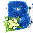 A striking floral letter B fills the scene, its clean edges and rich colours clearly visible against a bright white background. The central body of the letter is completely covered in royal blue chrysanthemums, arranged so closely that they form a continuous, velvety layer of petals. Each flower offers its own variation of blue, so the eye moves across deeper and lighter tones that give the letter depth and a gentle sense of movement. Around the outline and within the inner channels of the B, a soft white ribbon is neatly ruched, framing the flowers and emphasising the distinctive double curve of the letter. Resting at the lower left portion of the arrangement is a smaller, accent spray. Here, creamy white roses-some in tight buds, others slightly open to reveal their spiral centres-are tucked among tiny white spray chrysanthemums with daisy-like faces. These paler blooms glow against the darker blue backdrop. Encircling this cluster is a mix of greenery, including feathery fern fronds and rounded leaves that add texture and remind you of the leafy avenues and gardens around Mill Hill and Totteridge. The overall effect is composed and heartfelt, making this floral B a fitting choice for a funeral tribute or memorial service. It suggests a personal initial, perhaps the first letter of a loved one's name, arranged with care and respect by a local Mill Hill florist and delivered fresh to a nearby church, crematorium, or family home as a meaningful symbol of farewell.