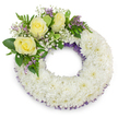 A serene, expertly fashioned circular sympathy wreath crafted from a dense carpet of pristine white chrysanthemums, shown against a clean white backdrop so each petal and contour reads clearly. The chrysanthemum heads are tightly packed to form a soft, cushiony ring whose countless ruffled petals give a whispery texture and a cool, calming presence. Along the inner and outer rims a fine, dark lavender-purple netting or ribbon peeks through in places, lending a discreet contrast that deepens the wreath's silhouette without disturbing its quiet dignity. At the upper-left curve a small, considered spray of blooms and foliage breaks the perfect circle: three creamy yellow roses open gently, their velvety petals unfurling like soft memories and suggesting warmth, friendship, and tender remembrance. Nestling around the roses are clouds of white baby's breath, their tiny blossoms adding an airy, breath-like softness, while little spikes of lavender-purple statice or limonium provide a subdued pop of complementary colour. Varied greens-broad glossy leaves and finer, fern-like fronds-frame the cluster, bringing freshness and sculptural balance to the composition. The centre hole remains clearly open, symbolically suggesting continuity and peace. The arrangement is lit with soft, natural illumination that casts a delicate shadow beneath the wreath, giving it gentle depth against the white field. As a Mill Hill florist would note, this wreath reads as a comforting, respectful tribute for a funeral or memorial gathering, conveying calm, honour, and the understated craftsmanship of local floral makers familiar with services around Mill Hill Village and Mill Hill Broadway.