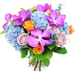 A lush, hand-tied bouquet sits against a clean white background, its rounded outline and rich textures drawing the eye inward. The base of the arrangement is formed by full, cloudlike heads of soft blue hydrangeas, their countless small florets creating a billowy surface that feels gentle and inviting. This cool blue foundation suggests calm and clarity, like a clear day above Mill Hill's leafy avenues. Rising through the hydrangeas are several dramatic Vanda orchids, their large petals saturated with deep magenta and fuchsia tones and decorated with fine white speckles and veining that give them a distinctive, almost mosaic appearance. These orchids add a bold, luxurious character, the kind of detail that transforms a simple bouquet into an unforgettable gift for a Mill Hill celebration or special delivery along the Broadway. Between the orchids and hydrangeas, roses in two contrasting palettes share the spotlight. The orange roses glow with warmth, their unfolding petals capturing the spirit of joy and optimism, while the dusty lavender and mauve roses bring a softer, introspective mood, their velvety petals hinting at romance and tenderness. Discreet spires of deeper blue accent flowers, reminiscent of slender delphinium stems, peek out from within the arrangement, introducing vertical lines and pockets of intense colour that keep the eye moving. Encircling all of this, glossy green foliage with broad, polished leaves adds freshness and definition, framing the bouquet like a natural halo. At the bottom, the visible, neatly tied stems reveal a carefully crafted hand-tied design, ready to be slipped into a vase or sent as a refined floral gesture to homes and venues across Mill Hill and the wider NW7 community.