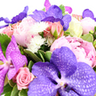 Against a bright white background, this elegant bouquet appears almost to glow, its blend of purple, pink, and white capturing the soft romance of an evening stroll through Mill Hill Park. The arrangement is anchored by stunning Vanda orchids in shades of lavender and deep, velvety purple, their broad petals smooth to the eye and intricately veined with a fine, netted pattern that immediately signals their exotic character. Closely surrounding them, full, generous peonies open in layered ruffles, petals cascading from the palest blush to richer rose-pink hues, creating a sense of abundance and gentle movement. Threaded among the peonies are pink roses in multiple stages of bloom: some are small and tightly coiled, full of promise, while others have opened into familiar, spiralled forms that feel timeless and romantic. Bright white chrysanthemum or pom-pom blooms are dotted throughout the bouquet, their rounded, spiky petals adding lively texture and points of crisp light against the warmer colours. A lush framework of glossy green foliage holds everything together, with a few variegated leaves bringing extra visual interest and a hint of wild garden charm reminiscent of the greenery along Bittacy Hill. The flowers are arranged closely, with little negative space, giving the impression of a generous, luxurious gift designed to make a real impact. Though the photograph is silent and scentless, it suggests the soft sweetness of peonies and roses blending with the cooler, more refined presence of orchids. This bouquet would feel perfectly at home arriving as a same-day delivery in Mill Hill, marking an anniversary, a heartfelt thank-you, or a quietly joyful celebration shared with someone special.