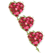 Three cascading floral hearts dominate this scene, set against a clean white backdrop that allows their colours and shapes to speak clearly. The hearts are positioned diagonally, one below the other, creating a soft sense of movement from the top left down to the bottom right, as if love itself were flowing gently across the image. Each heart is fully packed with roses in varied red and pink tones-intense crimson, classic scarlet, rich magenta, cheerful pink, and tender blush, with the occasional hint of coral adding warmth. The roses touch petal to petal, and their mix of tight buds, unfurling blooms, and fully open flowers adds an inviting, velvety texture. Twining elegantly around the outer edges and weaving between the hearts is a line of fresh green ivy. Its supple stems bend to follow each curve, forming soft outlines, while clusters of glossy leaves punctuate the design with deep green accents. These ivy trails also cross the white space to link all three hearts together, suggesting continuity, shared memories, and bonds that remain even when someone has gone. The absence of background clutter gives the arrangement a peaceful, reflective mood, like a tribute resting quietly before a service at a Mill Hill chapel or a farewell near the leafy streets around Lawrence Street and Bunns Lane. One can imagine this triple-heart design being chosen to represent three children, three siblings, or three great loves in a person's life, crafted with care to honour their story in flowers.