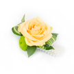 A small, hand-tied boutonniere or corsage sits against a clean white background, its design simple yet elegantly composed. At the centre a single full peach rose opens with soft, layered petals-the outer petals a delicate apricot-cream that gently deepens toward a warmer core-inviting a faint, classic rose scent imagined as a whisper rather than a heady perfume. Nestled just beneath and to the left of the rose, a lime-green button chrysanthemum brings a cheerful, compact texture: its tiny florets form a neat, rounded cushion that contrasts the rose's billowy softness. Rich, deep-green ruscus leaves provide a sturdy, glossy backdrop, their smooth surfaces catching the bright, even studio light and giving the composition depth and structure. Interwoven and gracefully curled, variegated green leaves with pale stripes introduce a refined architectural edge, their gentle folds echoing the rose's spiral and guiding the eye. From the lower right, a short strand of lustrous white faux pearls cascades like a small thread of celebration, adding a vintage note of quiet glamour without overwhelming the natural elements. The florist's hand is visible in the balanced spacing and clean stems, a style well suited to weddings, proms, or any formal occasion across Mill Hill - an accessory you might see worn at a village fête near Mill Hill Broadway or a calm ceremony in the lanes by Mill Hill Park. The bright lighting and pristine background emphasise the fresh, tactile quality of the materials and the understated elegance of a piece meant to accompany meaningful moments with subtlety and care.
