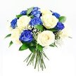 Against a serene white backdrop, this rounded bouquet of deep blue and soft cream roses appears calm and composed, like a quiet moment of reflection on a peaceful Mill Hill street. The design is hand-tied and full, the rose heads pressed close together so that they form a smooth, dome-like cluster, rich with overlapping petals. The blue roses, saturated in a royal sapphire hue, draw the gaze first; their velvety petals fold into one another in intricate spirals, some blooms opened wide to reveal their layered hearts, others still gently cupped. Weaving between them, the cream roses bring balance and tenderness, their petals creamy and luminous, fading to near-white at the edges where the light seems to linger. Fine sprays of white baby's breath punctuate the arrangement, their tiny blossoms perched on delicate stems, adding a soft, misty texture that lightens the overall feel and echoes the stillness of early morning mist over Mill Hill's green spaces. Dark green leaves create a subtle frame beneath and between the blooms, their smooth surfaces adding depth, structure, and the impression of fresh, fragrant foliage. At the bottom of the bouquet, the stems are neatly bundled and tied, visible beneath the mass of flowers, ready to be placed into a waiting vase in a home along Lawrence Street or carried to a memorial service nearby. The lighting is clear and bright, revealing every curve and shadow, and bringing out the contrast between the cool blue roses and the gentle, creamy counterparts. This arrangement carries an air of quiet strength and consolation, ideal for expressing sympathy, honouring a loved one's memory, or offering gentle support to someone in the Mill Hill community.
