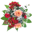 Cradled against a pure white backdrop, this hand-tied bouquet reads like a small garden at its most generous moment. At the centre sit two large peach-apricot roses, their petals unfurling in soft spirals with faint pink rims that catch a gentle, cool light; a tightly budded classic red rose peeks through nearby, adding a note of classic romance. Deep burgundy chrysanthemums - almost velvety in tone - appear throughout, each with a lime-green buttoned eye that gives the arrangement a lively, daisy-like energy, while a single spiky, dark burgundy protea-like bloom introduces exotic texture and a dramatic silhouette against the softer shapes.
Delicate clouds of white baby's breath (Gypsophila) drift between the larger blooms, their tiny points of white softening the composition and lending a light, airy contrast to the richer hues. Lush green foliage forms a broad base: glossy, dark leaves cradle the flowers and slender, silvery-green eucalyptus stems with their rounded leaves add a modern, muted counterpoint. The overall form is dense and circular, each stem placed to maintain balance and fullness so the bouquet reads as both abundant and refined.
There is a subtle, leafy scent beneath the sweeter rose fragrance that feels like a stroll through a local Mill Hill market in early morning. As a florist who knows Mill Hill Village and the nearby Broadway well, I imagine this piece brightening a breakfast table or being handed over with a quiet, heartfelt message of thanks or affection - a crafted, floral expression of warmth and celebration.